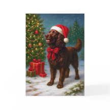 American Water Spaniel Holiday Card