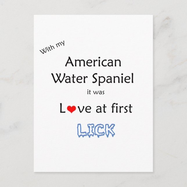 American Water Spaniel Lick Design Postcard (Front)