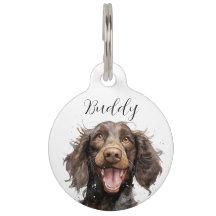 American Water Spaniel Name ID tag