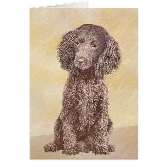 American Water Spaniel Painting - Original Dog Art (Front)