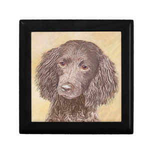 American Water Spaniel Painting - Original Dog Art Gift Box
