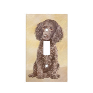 American Water Spaniel Painting - Original Dog Art Light Switch Cover