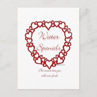 American Water Spaniel True Love Postcard