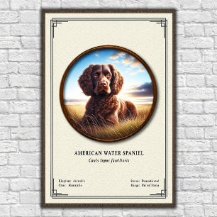 American Water Spaniel Zoology Series Poster