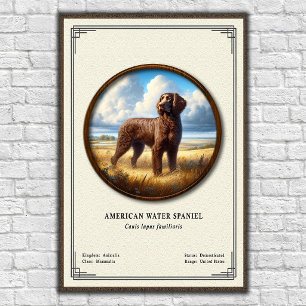 American Water Spaniel Zoology Series Poster