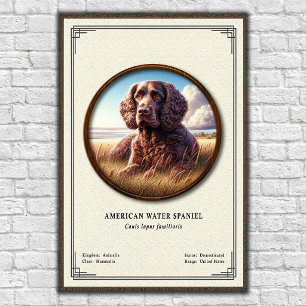 American Water Spaniel Zoology Series Poster