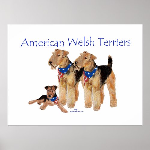 American Welsh Terriers Poster
