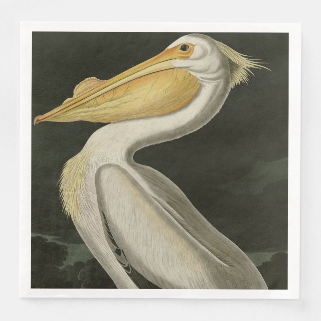 American White Pelican, Audubon's Birds of America Paper Dinner Napkins (Front)