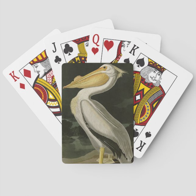 American White Pelican, Audubon's Birds of America Poker Cards (Back)