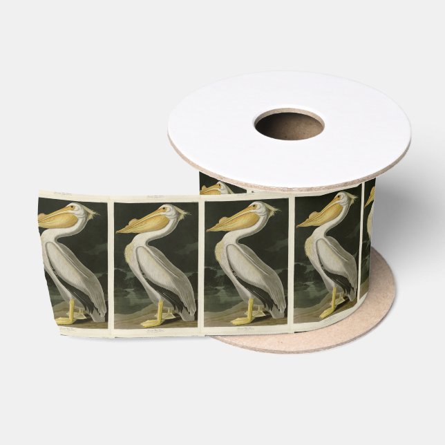 American White Pelican, Audubon's Birds of America Satin Ribbon (Spool)