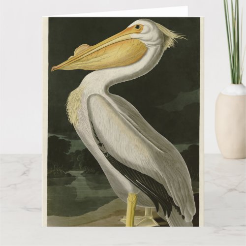 American White Pelican Audubons Birds of America Thank You Card