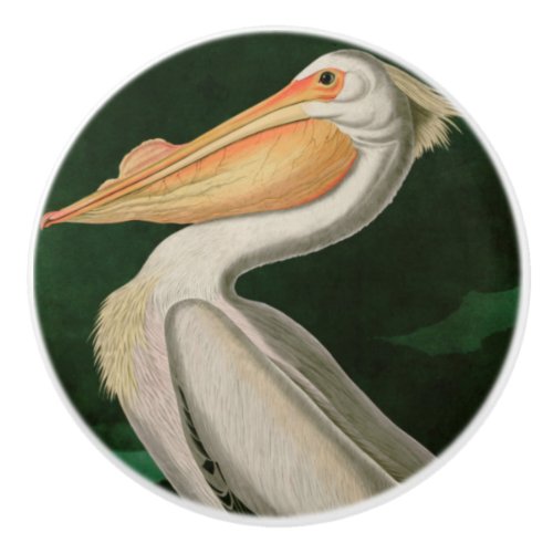 American White Pelican Birds of America Audubon Ceramic Knob