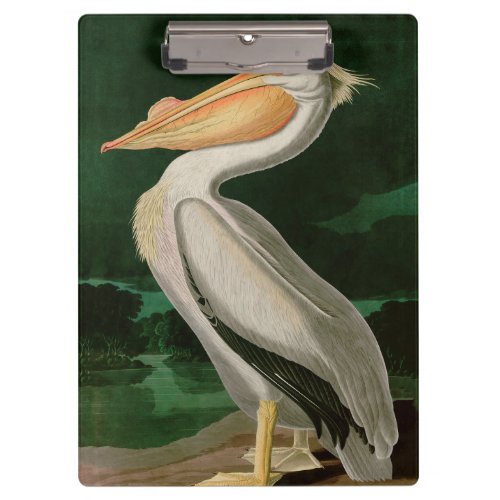 American White Pelican Birds of America Audubon Clipboard