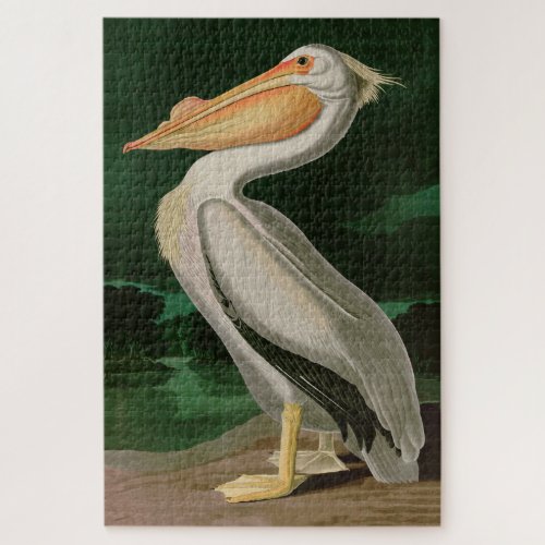 American White Pelican Birds of America Audubon Jigsaw Puzzle