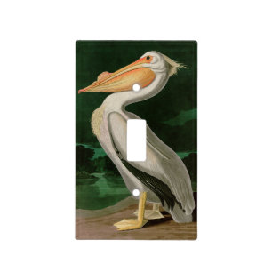 American White Pelican Birds of America Audubon Light Switch Cover