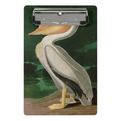 American White Pelican Birds of America Audubon Mini Clipboard