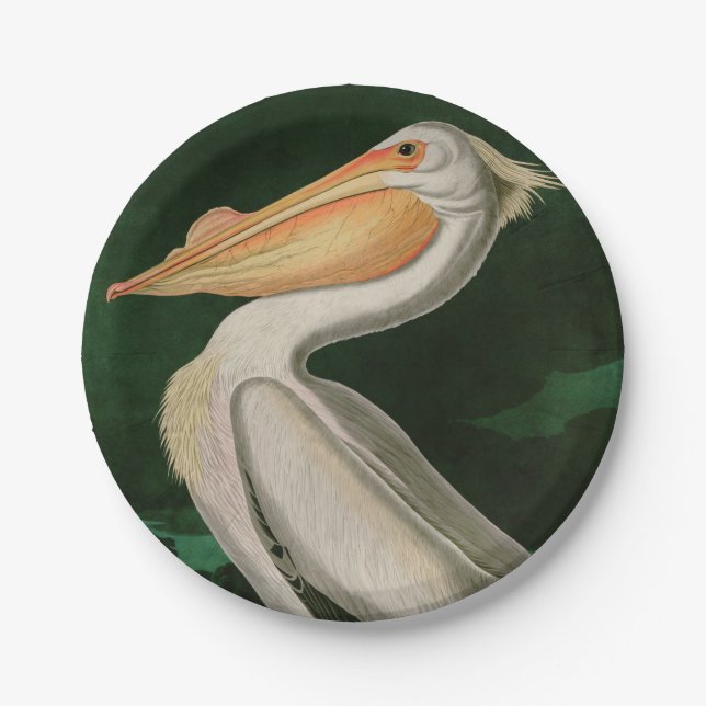 American White Pelican Birds of America Audubon Paper Plates (Front)