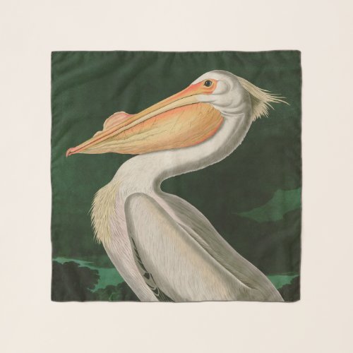 American White Pelican Birds of America Audubon Scarf