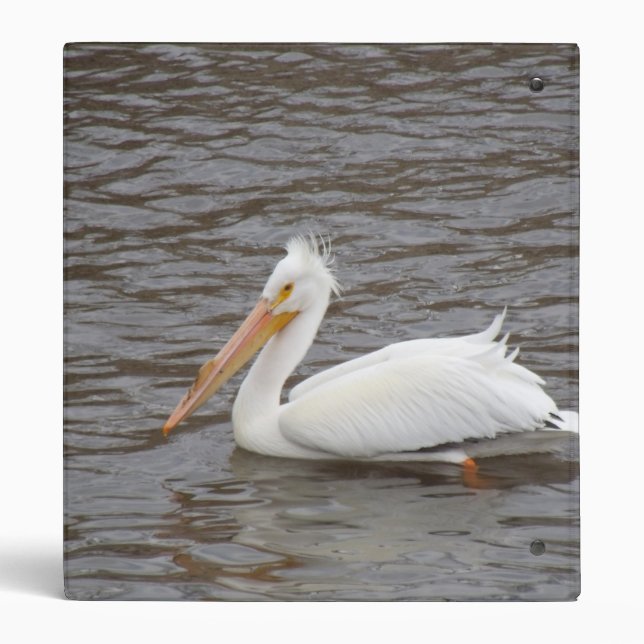 American White Pelican In Breeding Condition Binder (Back)