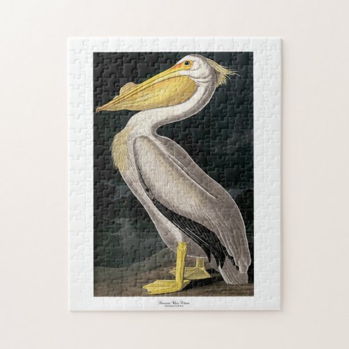 American White Pelican John James Audubon 11 x 14 Jigsaw Puzzle