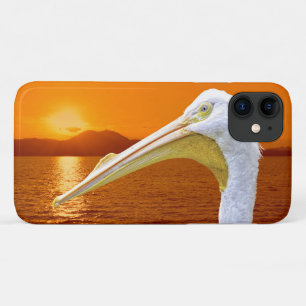 American White Pelican sunset in Corfu iPhone 11 Case