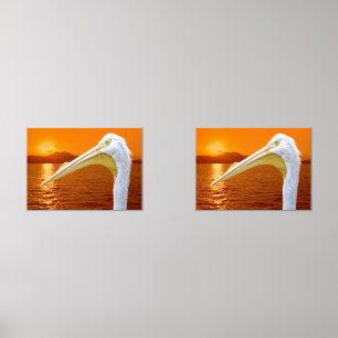 American White Pelican sunset in Corfu Wall Art Sets