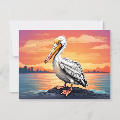 American white pelican sunset postcard