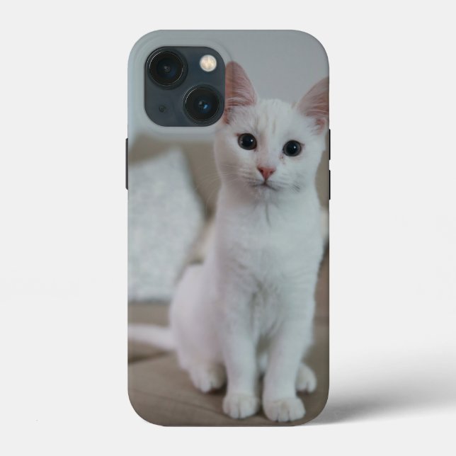 American white shorthair cat Case-Mate iPhone case (Back)