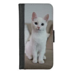American white shorthair cat iPhone 8/7 wallet case