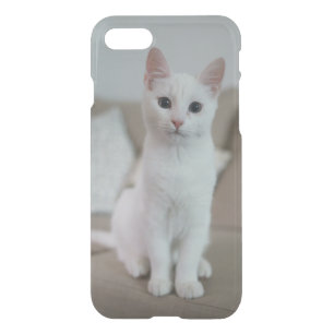 American white shorthair cat iPhone SE/8/7 case