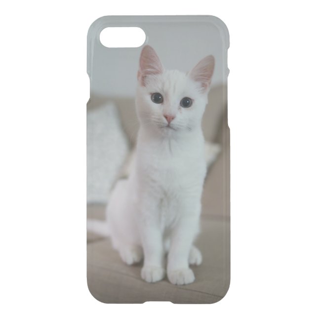 American white shorthair cat uncommon iPhone case (Back)