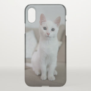 American white shorthair cat iPhone x case