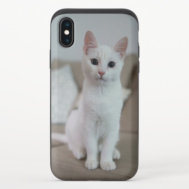 American white shorthair cat uncommon iPhone case (Back)