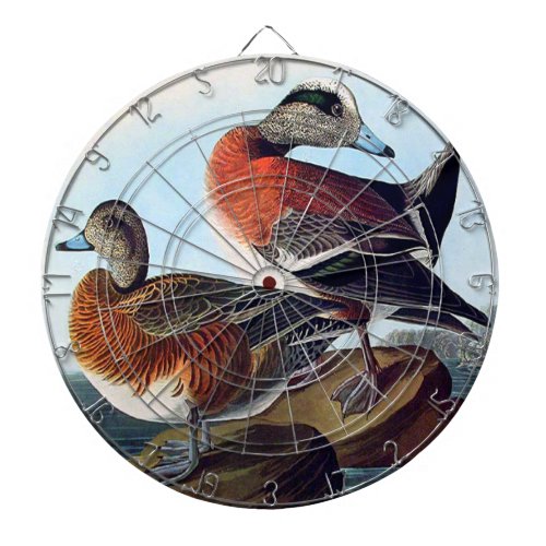 American Widgeon ducks on a rock Dartboard