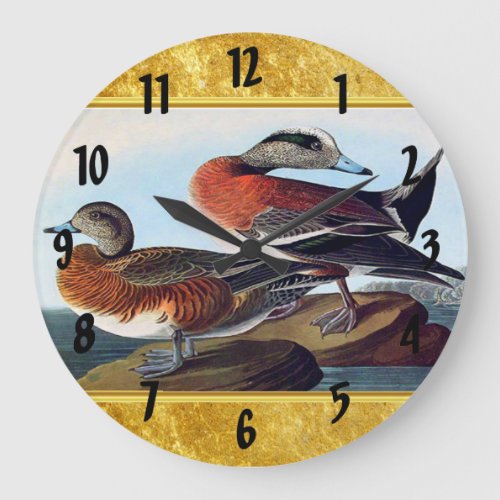 American Widgeon ducks on a rock Large Clock