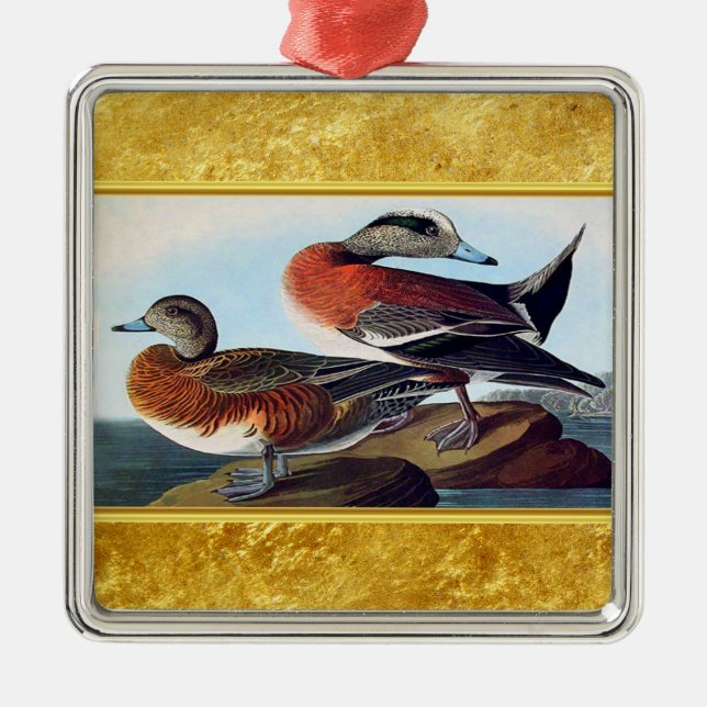American Widgeon ducks on a rock Metal Ornament (Front)