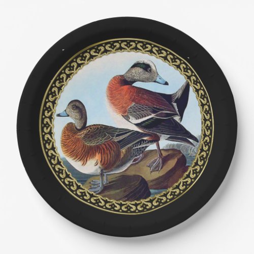 American Widgeon ducks on a rock Paper Plates