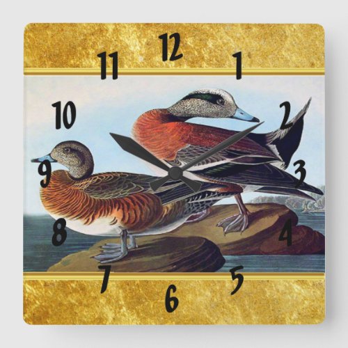 American Widgeon ducks on a rock Square Wall Clock
