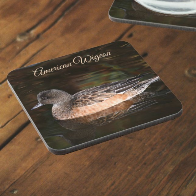 American Wigeon on Pond Wildlife Photo Beverage Coaster (In Situ Angled)