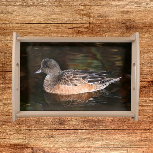 American Wigeon on Pond Wildlife Photo Serving Tray