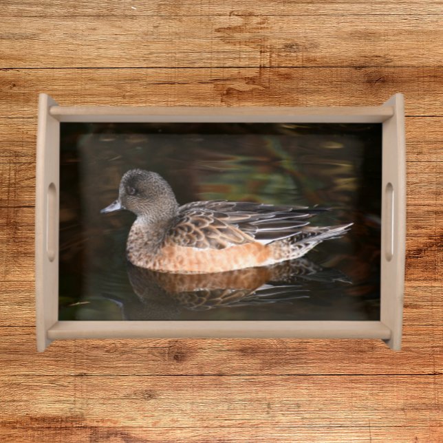 American Wigeon on Pond Wildlife Photo Serving Tray (In Situ)