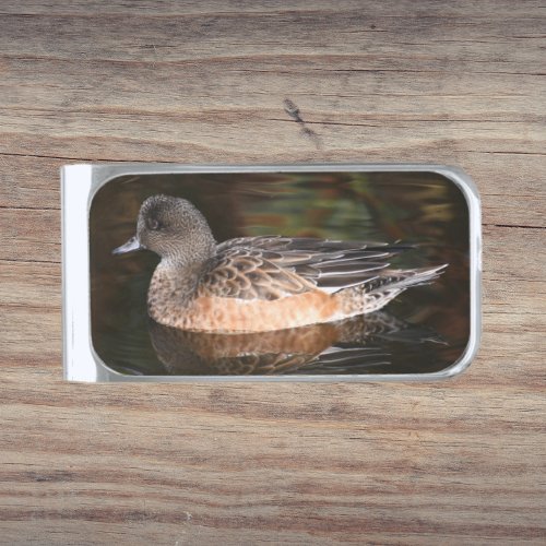 American Wigeon on Pond Wildlife Photo Silver Finish Money Clip