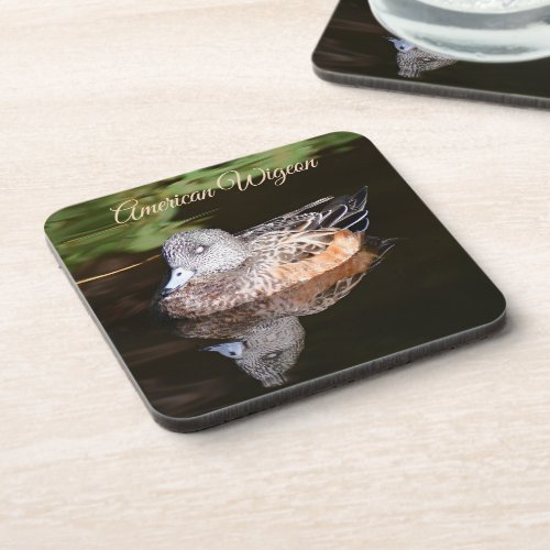 American Wigeon Wildlife Photo Beverage Coaster