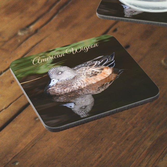 American Wigeon Wildlife Photo Beverage Coaster (In Situ Angled)