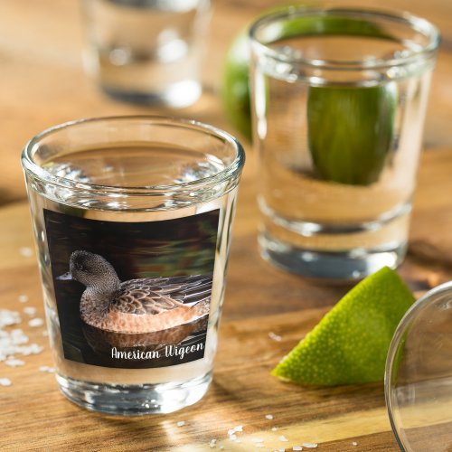American Wigeon Wildlife Photo Shot Glass
