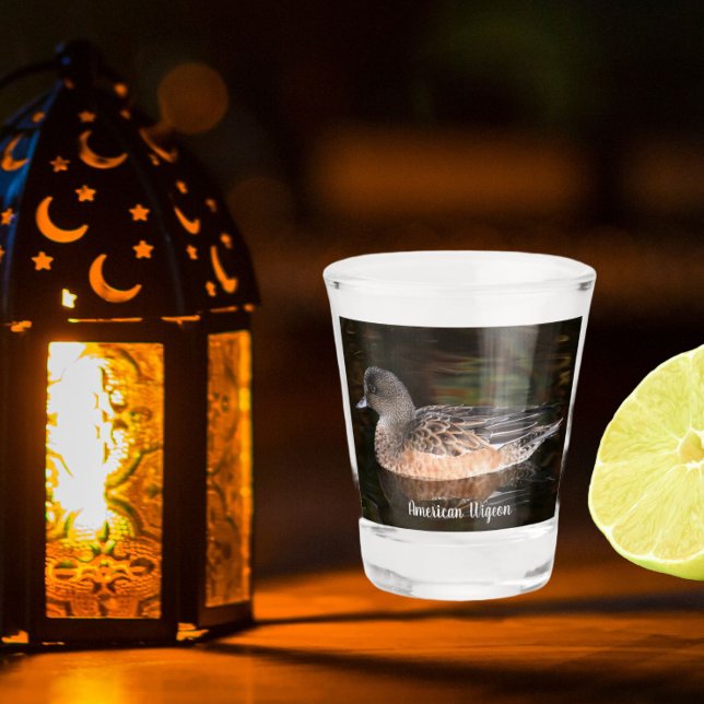 American Wigeon Wildlife Photo Shot Glass (In Situ)