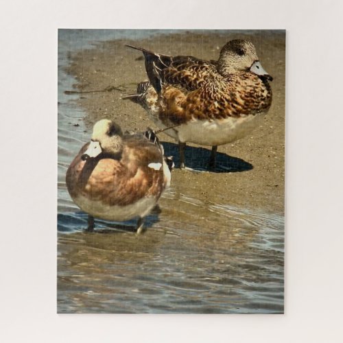 American Wigeons Jigsaw Puzzle