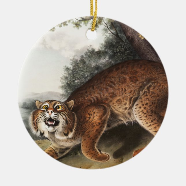 American wild cat (Lynx rufus) Illustration Ceramic Ornament (Front)