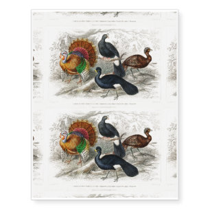 American Wild Turkey, Crested Curassow Temporary Tattoos