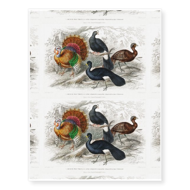 American Wild Turkey, Crested Curassow Temporary Tattoos (Front)